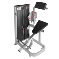 Нижние мышцы спины FOREMAN FN-305