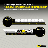 Наборная штанга (комплект 2 штанг) MX SELECT Evo MX125