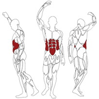 Разгибание спины BH FITNESS TR line L510