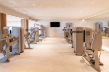 Тяга сверху TECHNOGYM Artis Luxury Lat Machine