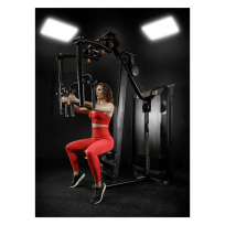 Баттерфляй задние дельты ULTRAGYM Business Crystal UG-CL519