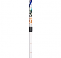 Палки для скандинавской ходьбы US MEDICA Carbon GT 2 секции