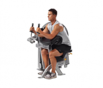 Трицепс сидя HOIST CL-3103