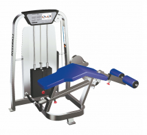 Сгибание ног лежа FOREMAN FS-103