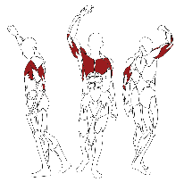 Жим от груди сидя BH FITNESS TR Line L070