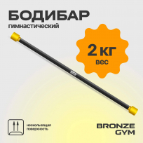 Бодибар BRONZE GYM BG-FA-BDB2 2 кг