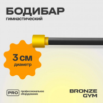 Бодибар BRONZE GYM BG-FA-BDB2 2 кг
