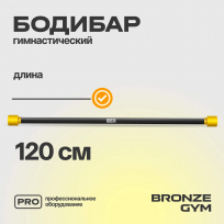 Бодибар BRONZE GYM BG-FA-BDB2 2 кг
