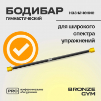 Бодибар BRONZE GYM BG-FA-BDB2 2 кг