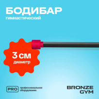 Бодибар BRONZE GYM BG-FA-BDB4 4 кг