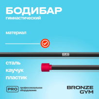 Бодибар BRONZE GYM BG-FA-BDB4 4 кг