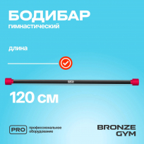 Бодибар BRONZE GYM BG-FA-BDB4 4 кг