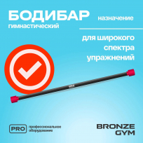 Бодибар BRONZE GYM BG-FA-BDB4 4 кг