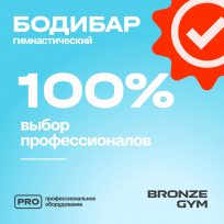 Бодибар BRONZE GYM BG-FA-BDB4 4 кг
