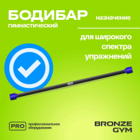 Бодибар BRONZE GYM BG-FA-BDB5 5 кг