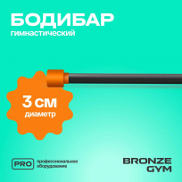 Бодибар BRONZE GYM BG-FA-BDB6 6 кг