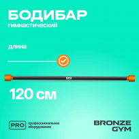 Бодибар BRONZE GYM BG-FA-BDB6 6 кг
