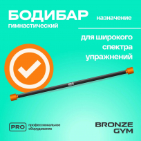 Бодибар BRONZE GYM BG-FA-BDB6 6 кг