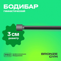 Палка гимнастическая профессиональная бодибар BRONZE GYM FA-BDB8 8 кг