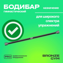Палка гимнастическая профессиональная бодибар BRONZE GYM FA-BDB8 8 кг