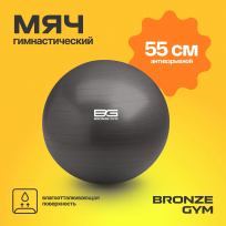 Мяч гимнастический GYM BALL ANTI-BURST FA-GB55 55 см