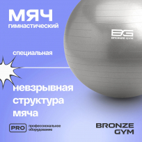 Мяч гимнастический GYM BALL ANTI-BURST FA-GB65 65 см