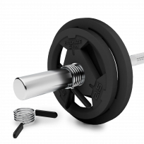 Диск олимпийский обрезиненный BRONZE GYM BGPLR100 (10 кг)