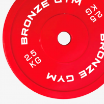Диск олимпийский тренировочный BRONZE GYM BGPLTH025 (2,5 кг)