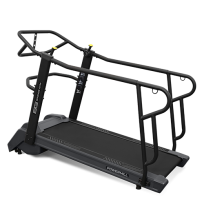 Беговая дорожка BRONZE GYM Powermill