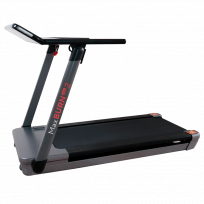 Беговая дорожка ERGONOVA MaxBurn Pro 2