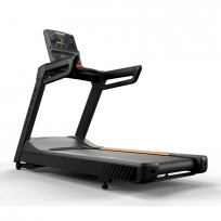 Беговая дорожка MATRIX Endurance Premium LED T-ES-02-F/PLED-C