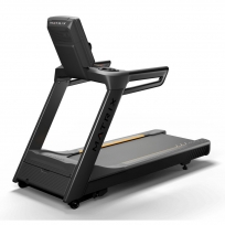 Беговая дорожка MATRIX Endurance Premium LED T-ES-02-F/PLED-C