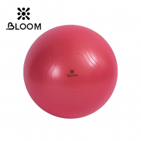 Мяч для йоги BLOOM LB7051/55/RD красный 55 см
