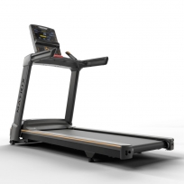 Беговая дорожка MATRIX Lifestyle Premium LED T-LS-F/PLED-C