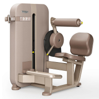 Разгибание спины TECHNOGYM Artis Luxury Lower Back