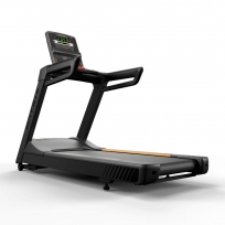 Беговая дорожка MATRIX Endurance LED T-ES-02-F/LED-C