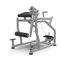 Обратная гиперэкстензия с дополнительной нагрузкой MATRIX Magnum MG-405