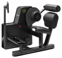 Разгибание спины TECHNOGYM Biostrength Lower Back MM58AAE
