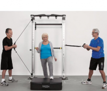 Шведская стенка TECHNOGYM Omnia 3