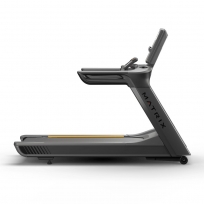 Беговая дорожка MATRIX Performance LED T-PS-02-F/LED-C