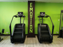 Лестница-степпер (климбер) FITEX Premier 9 PROF