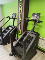 Лестница-степпер (климбер) FITEX Premier 9 PROF