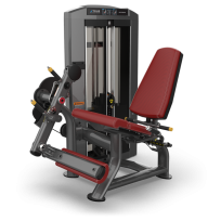 Разгибание ног TRUE FITNESS Palladium Leg Extension SPL-0100 Acrylic