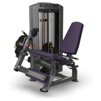 Разгибание ног TRUE FITNESS Palladium Leg Extension SPL-0100 Acrylic
