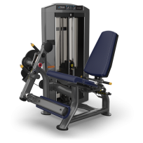 Разгибание ног TRUE FITNESS Palladium Leg Extension SPL-0100 Acrylic