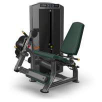 Разгибание ног TRUE FITNESS Palladium Leg Extension SPL-0100 Metal