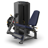 Разгибание ног TRUE FITNESS Palladium Leg Extension SPL-0100 Metal