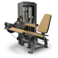 Сгибание ног сидя TRUE FITNESS Palladium Seated Leg Curl SPL-0200 Acrylic