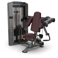  Бицепс TRUE FITNESS Palladium Biceps Curl SPL-0600 Acrylic