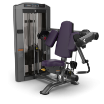  Бицепс TRUE FITNESS Palladium Biceps Curl SPL-0600 Acrylic